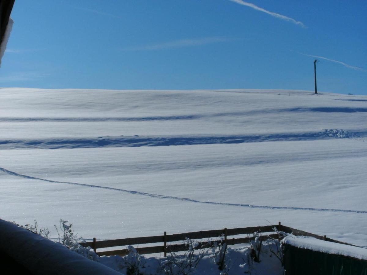 Ferienwohnung Klaus Oy-Mittelberg Bagian luar foto